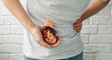 Böbrek taşı olanlar ne yemeli, ne yememeli? Hangi yiyecekler böbrek taşı yapar?