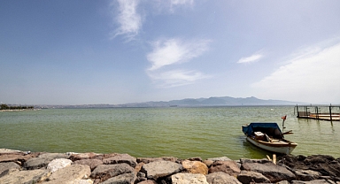 Renk değişimine plankton patlamaları neden oldu