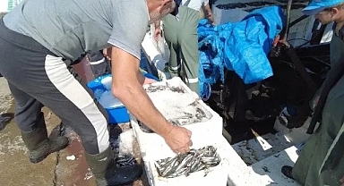 Foça'da balıkçılar 'Vira bismillah' dedi