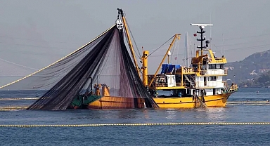 FAO'dan Türkiye’ye 'Tam Uyum Ödülü'
