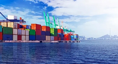 Gümrük Vergi Borcu Sorgulama Sistemi'ne Yeni Özellik...