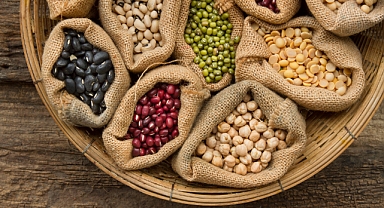 Ege'den Dünya Sofralarına: Hububat, Bakliyat ve Yağlı Tohumlar Rekor Kırıyor