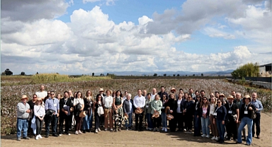 Pamukta Kriz Alarmı: Çözüm Sürdürülebilir Üretimde